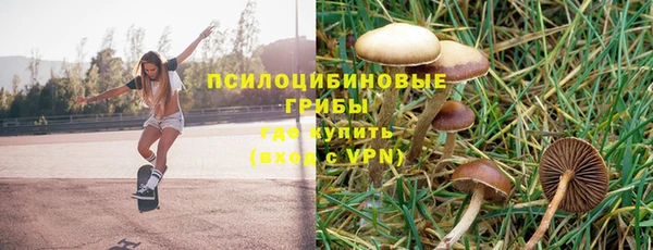 метадон Алексин