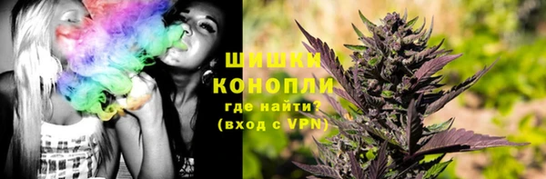 метадон Алексин