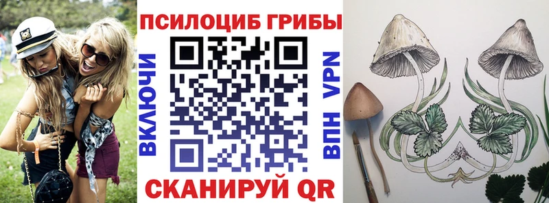 как найти закладки  Пугачёв  Галлюциногенные грибы Cubensis 